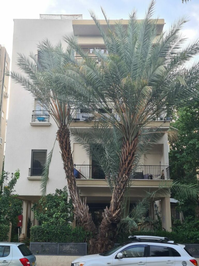 immeuble sur pilotis