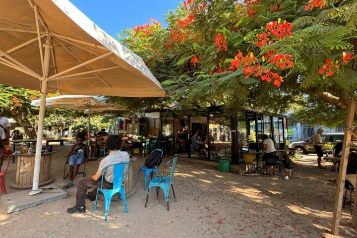 café shapira